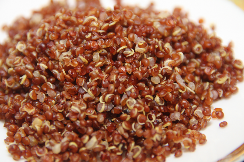 Number One Fat Burning Food Red Quinoa