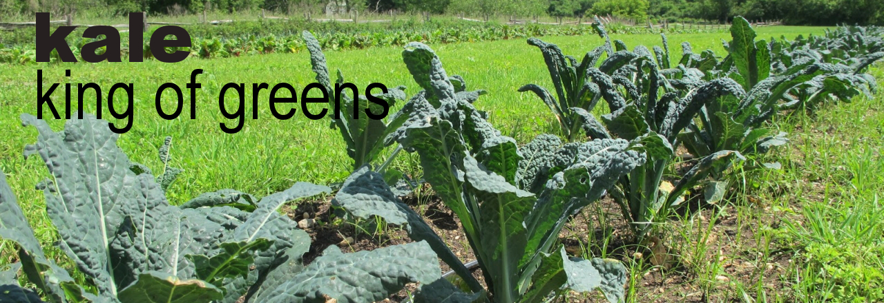 Kale - King of Greens