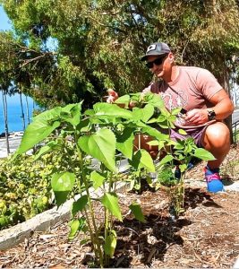 Easy Habits Gardening for Long-Term Wellness